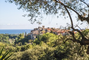 Biot village